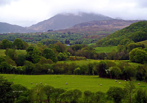 Irish Countryside II