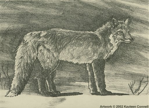 Untitled (fox lithograph)