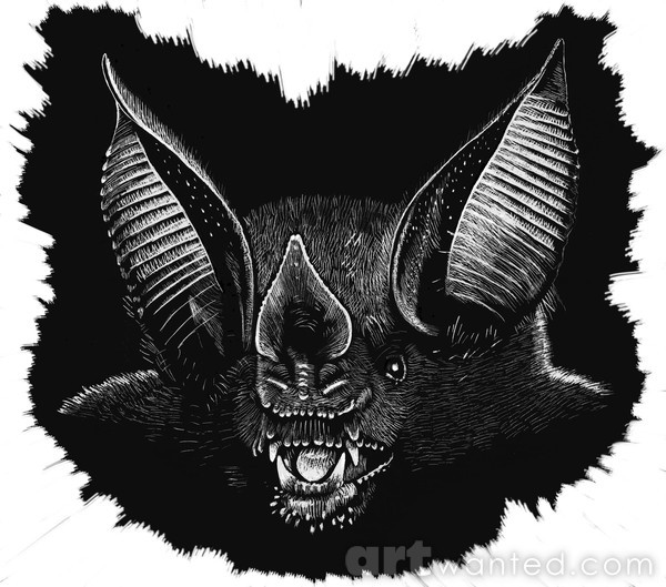 Fringe-lipped Bat final