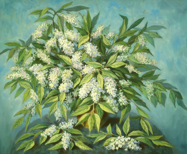 Still life with bird cherry