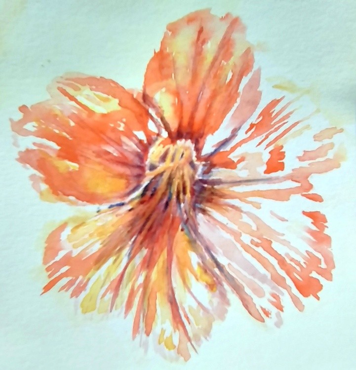 Squash Blossom Watercolor