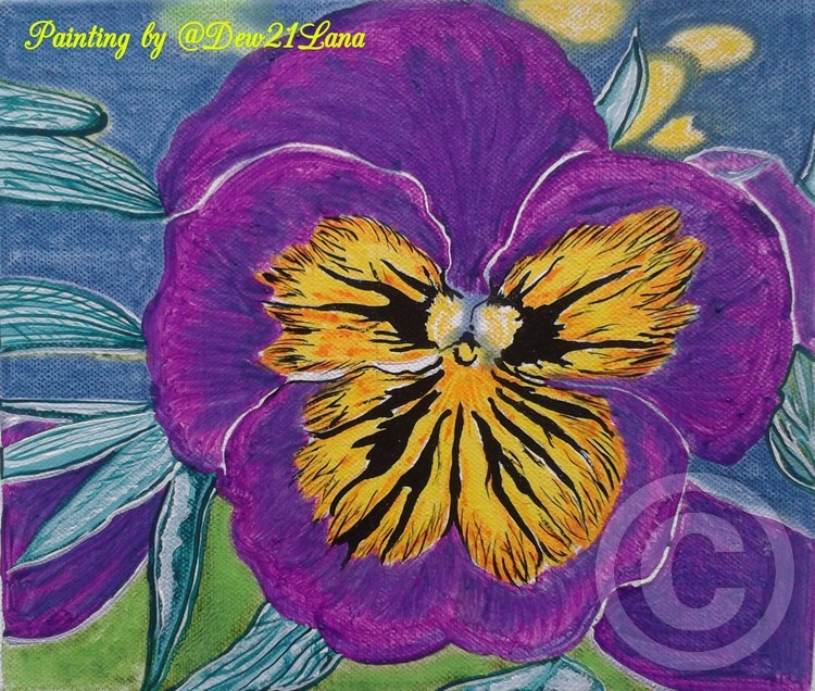 Pansy