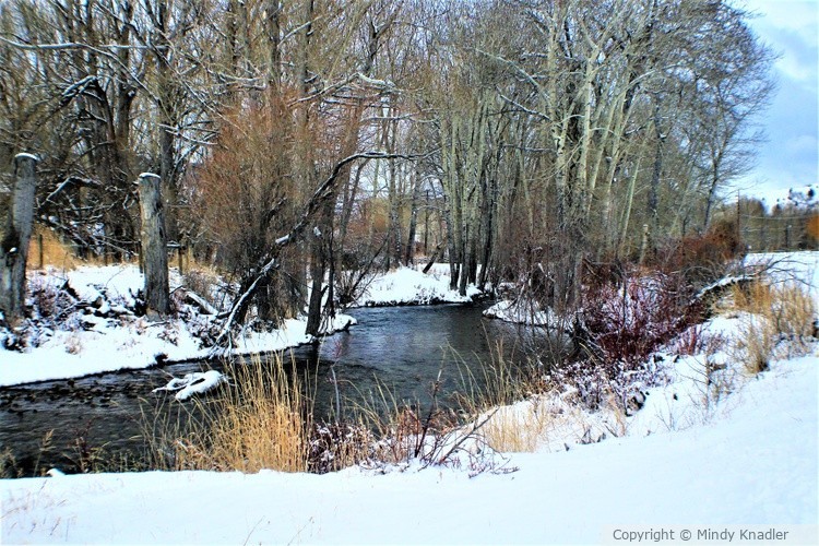 snowy creek 