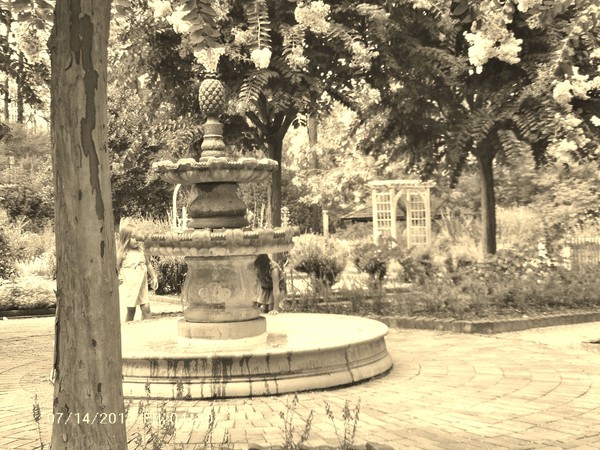 The Fountain