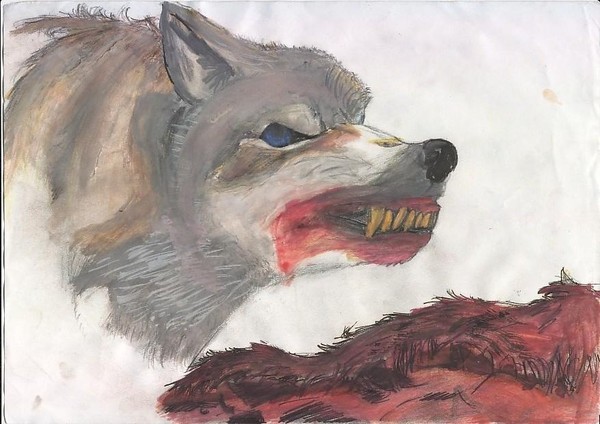 Blood wolf