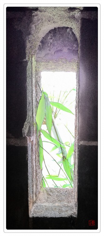 Bamboo at Window