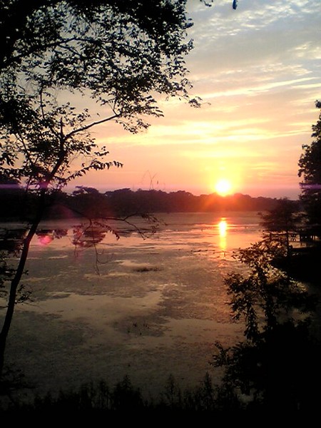 sunset over swamp