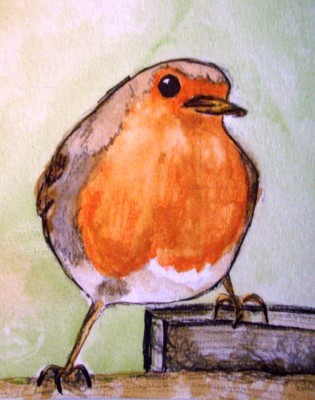 The Robin