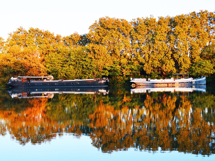 Reflections on the River Rhone 