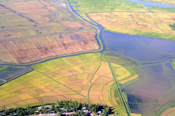 fields near Hue Viet Nam