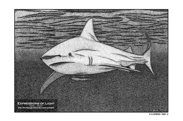 ExpoLight-Graphic-Arts-Shark-0001M (Sample Proof-A