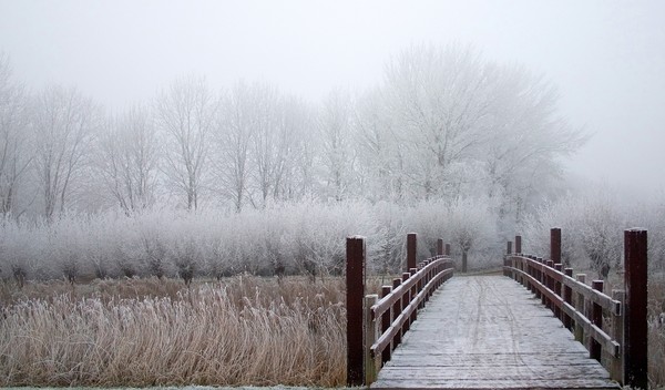 Winter scene with bridge