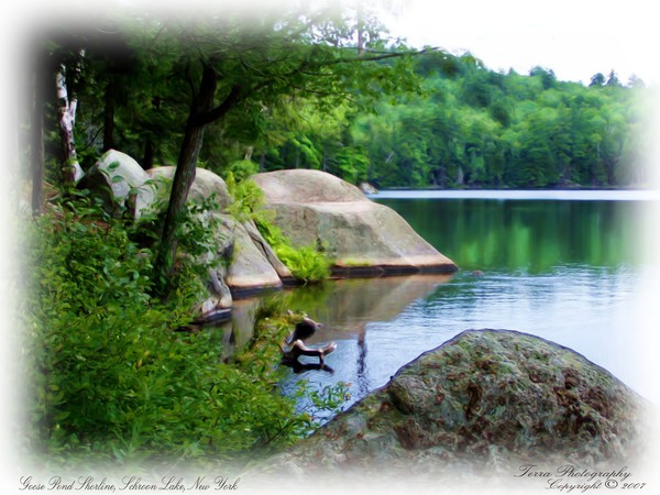 Goose Pond Shoreline Digital painting