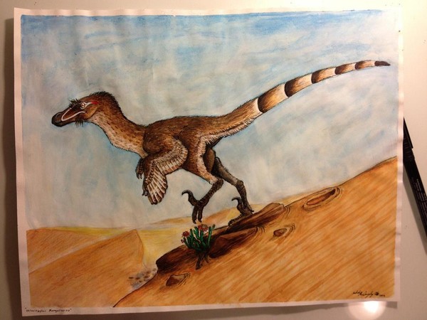 Velociraptor Mongoliensis