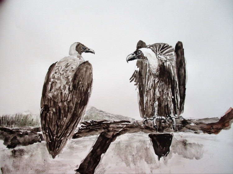 Two white-backed vultures reminiscing about life