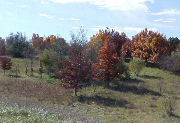 Nebraska Rolling Plains in Autumn