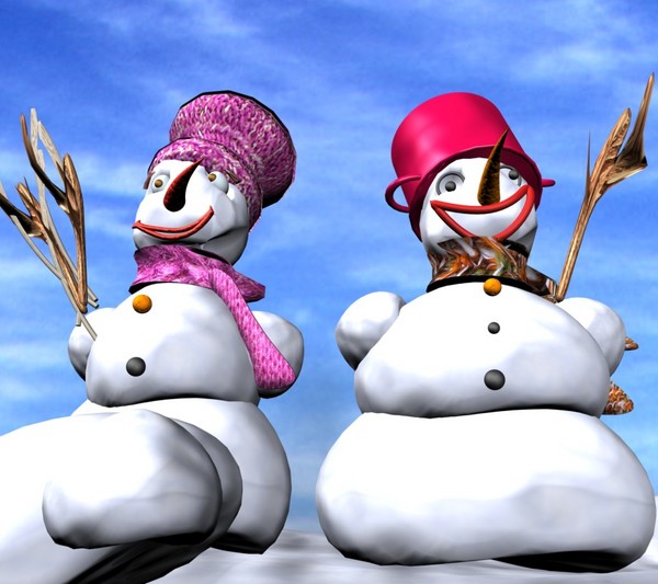 snow couple