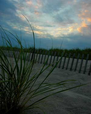 Robert Moses- Dune Sky