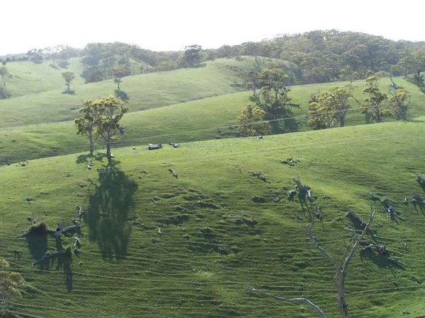 Folded green hills.