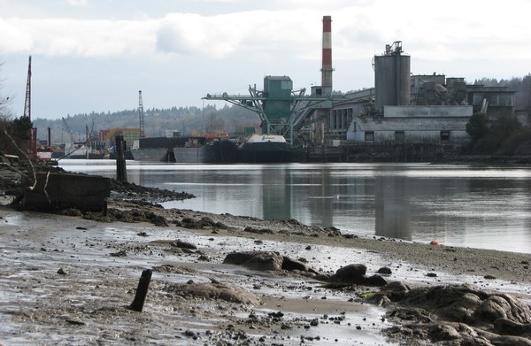 LOW TIDE