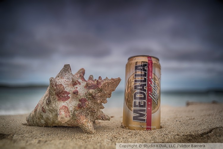 Conch & Medalla