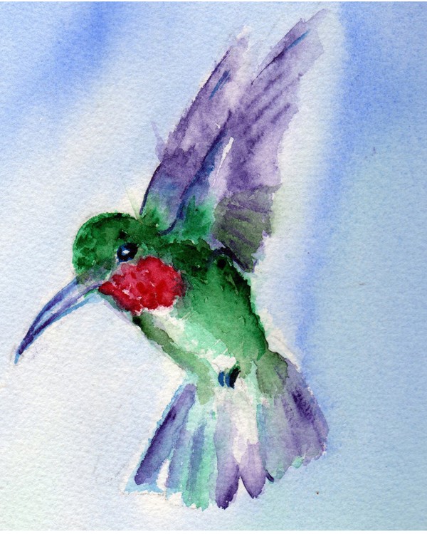 Ruby Troated hummingbird