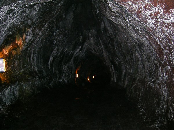 Hawaiian Lava Tunnel