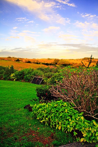 Garden Meets Farm in Rural Australia