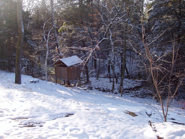 Tree House in Snow