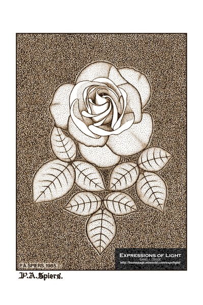 ExpoLight-Graphic-Arts-Rose-0001S (Sample Proof-Ar