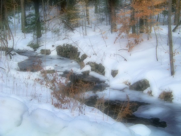 Mountain Stream