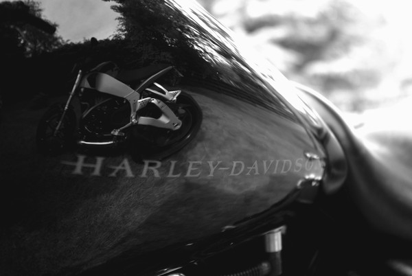 Harley tank