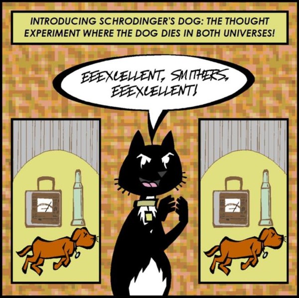 Schrodinger's Dog