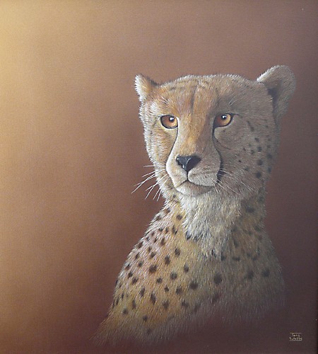 Cheetah by Toni1