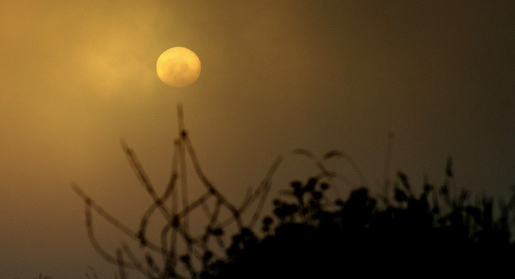Tao Sun through Evening Fog