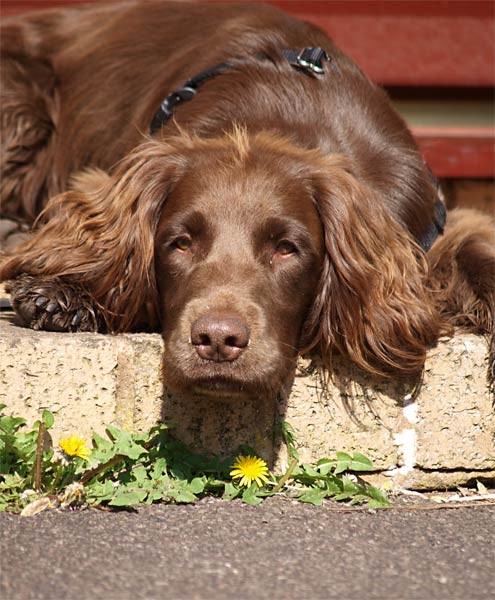 Sun Bathing