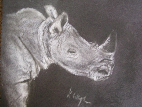 Rodger the rhino
