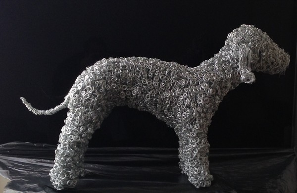 Bedlington Terrier