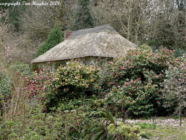 'Hidden Cottage'