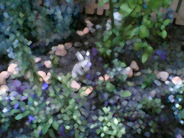 my garden in pixels
