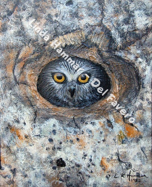 Owl Peeking Out of Birch Tree Painting
