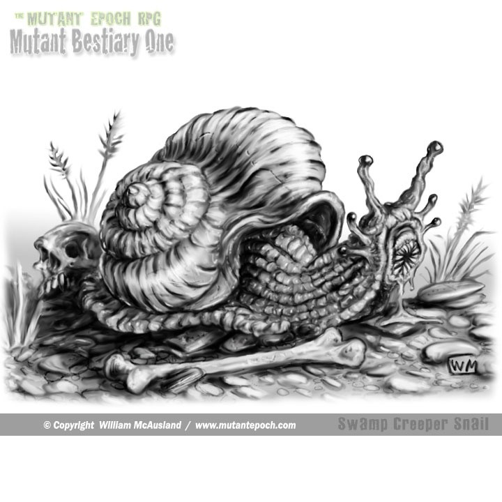 Swamp Creeper Snail