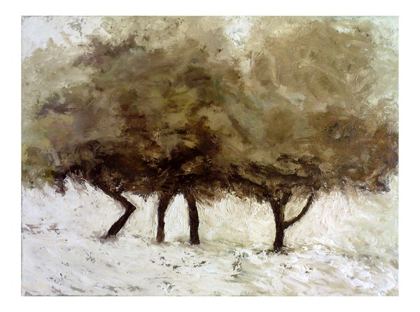 Trees in Snow