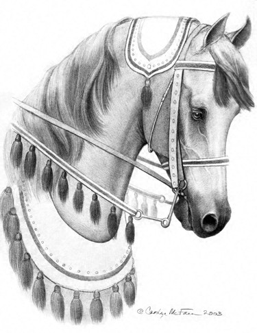 Arabian Horse in Show Costume
