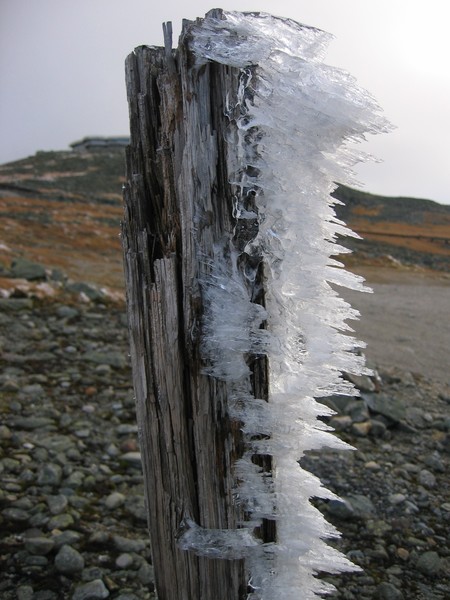 Frosty Pole