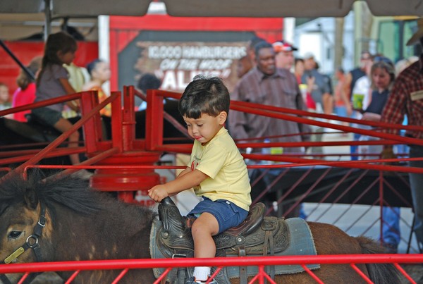 Dreaming of being a cowboy