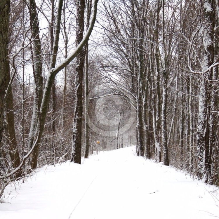 Snow trail