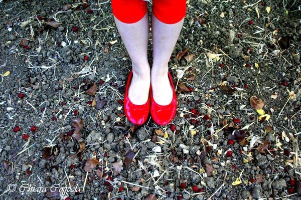 Le scarpette rosse di Dorothy.