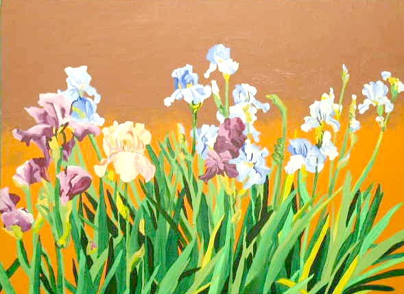 Group of Iris