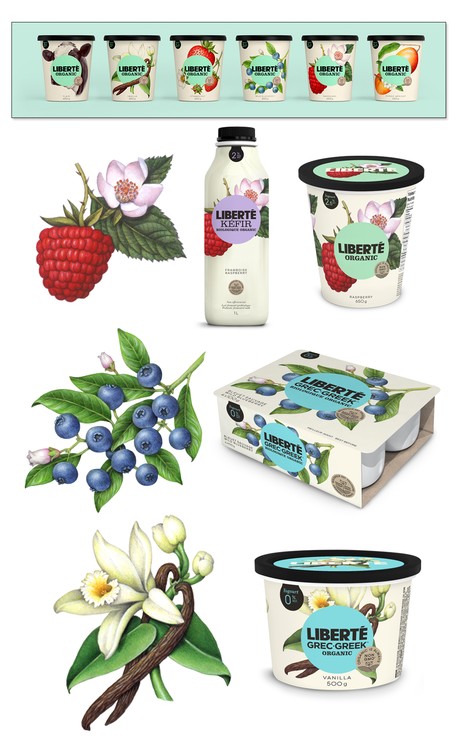 Raspberry, Blueberry and Vanilla Illustrations for Liberte Yogurt